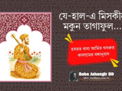 Zehaal-e-Miskeen Makun Taghaful | Amir Khusro | যে-হাল-এ মিসকীন | Bangla Translation